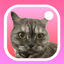 Lunagram Logo